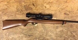 Ruger Mod 10/22