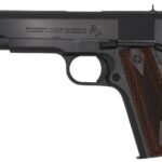 .45ACP Colt Government 1911 5″