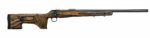 cz 600 range.png