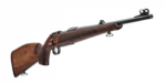 cz cz 600 lux 2.png
