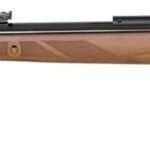 Gamo PR-45 Luchtpistool 4,5 mm