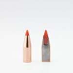 hornady hornady kogelkoppen 224 v max 55 grain 2.jpg