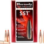 Hornady Kogelkoppen 6.5mm SST 129 grain