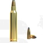Sellier & Bellot .223 REM SP 55 grain 100st