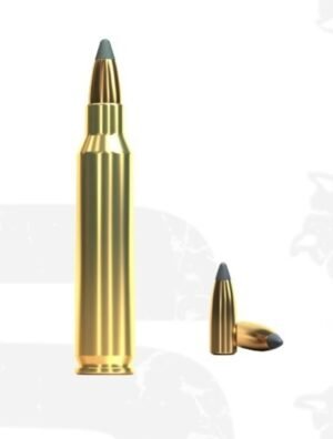 Sellier & Bellot .223 REM SP 55 grain 100st