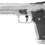 Sig Sauer  P226 X-Five