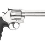 Smith & Wesson 686 Distinguished Combat Magnum .357/38.