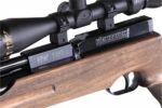 weihrauch weihrauch hw 100 tk pcp buks 3.jpg